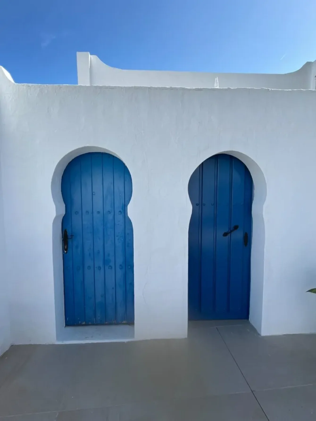 oasis-del-mar7_11zon